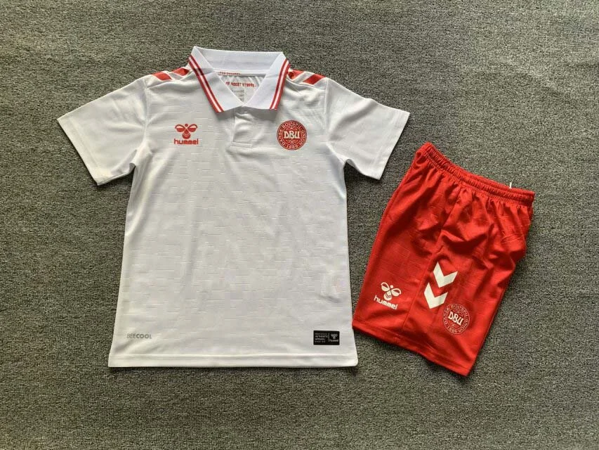 Uniforme Denmark Away 2024