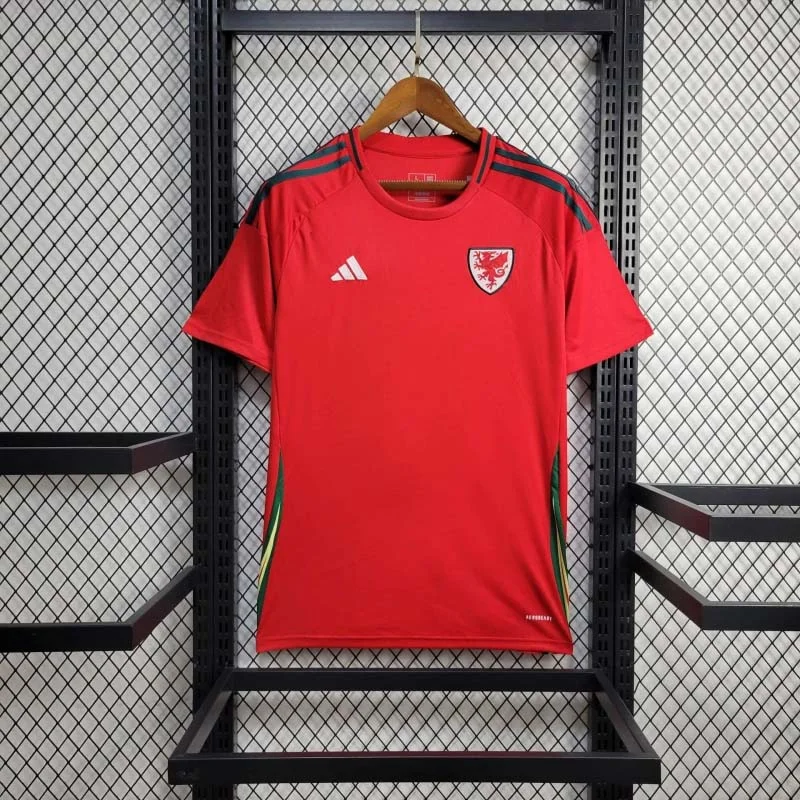 Uniforme Wales Home 2024